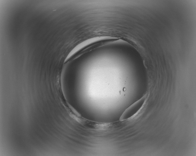 X0000054420192200508192107