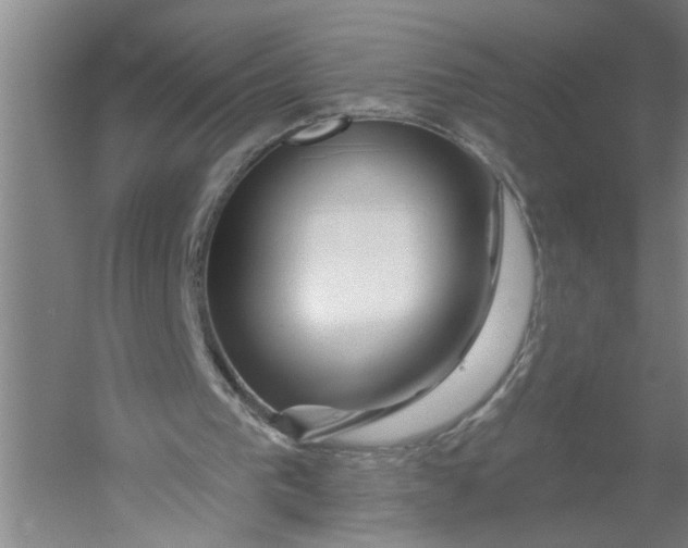 X0000054420193200508192106