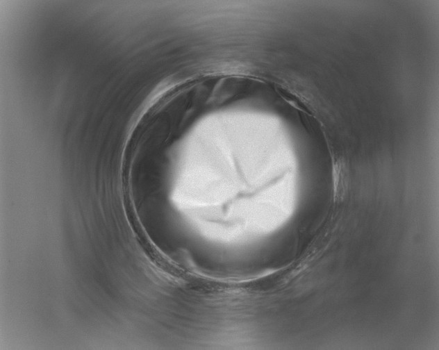 X0000054420195200508192106