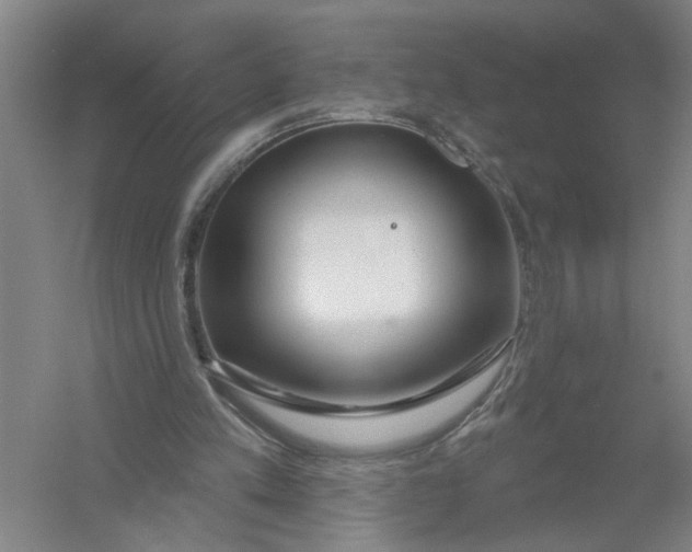 X0000054420197200508192106
