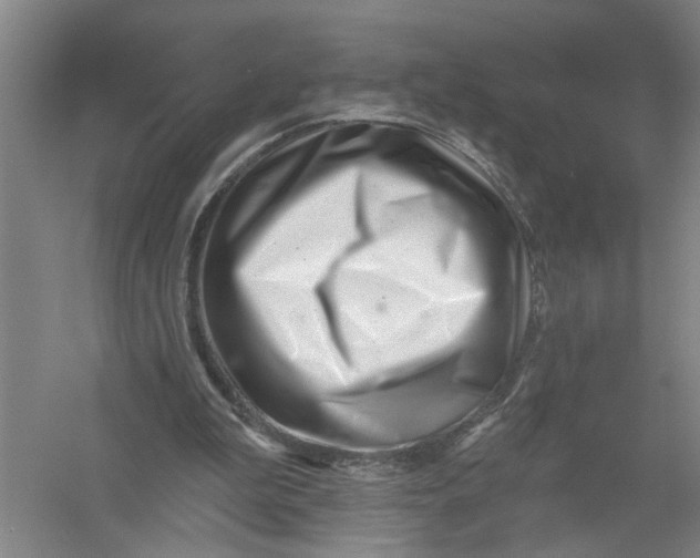 X0000054420199200508192106
