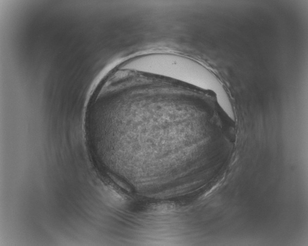 X0000054420200200508192106