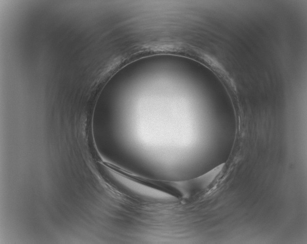 X0000054420201200508192106