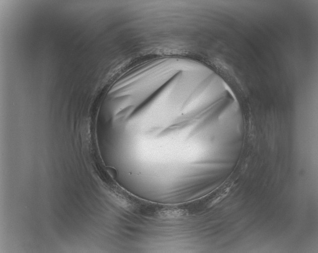 X0000054420202200508192106