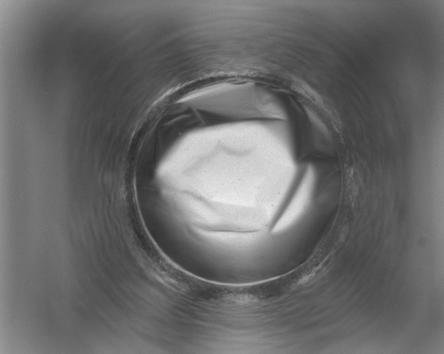 X0000054420203200508192106