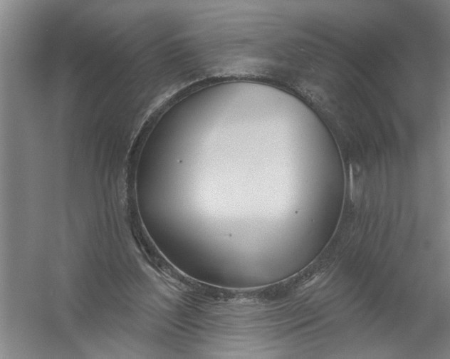 X0000054420204200508192106