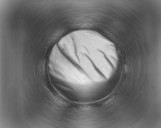 X0000054420206200508192106