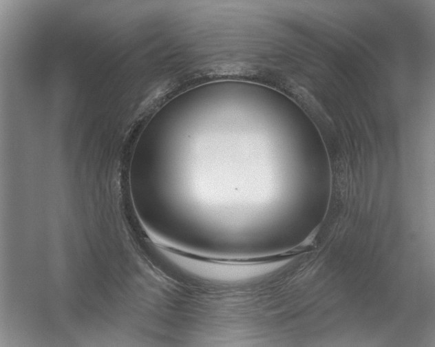 X0000054420207200508192106