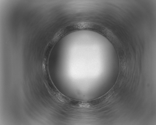 X0000054420214200508192106