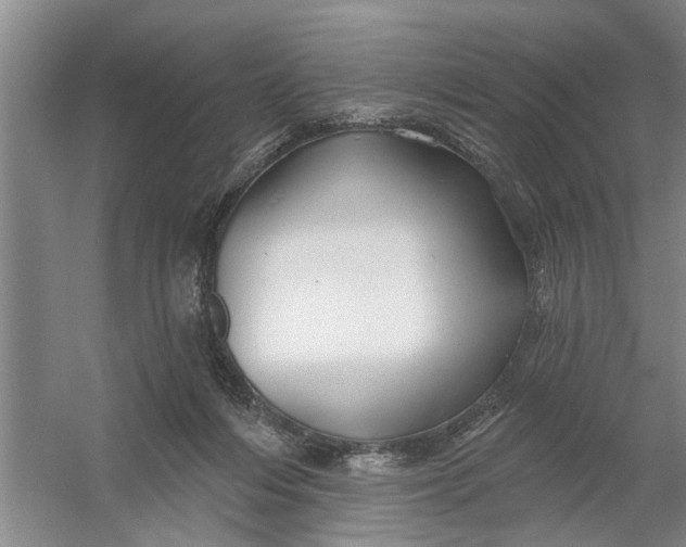 X0000054420216200508192106