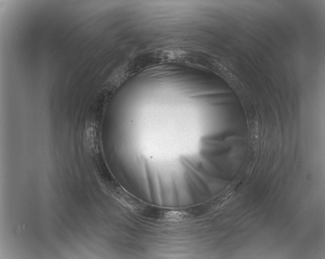 X0000054420222200508192106
