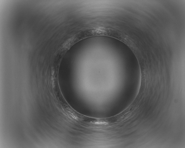 X0000054420223200508192106