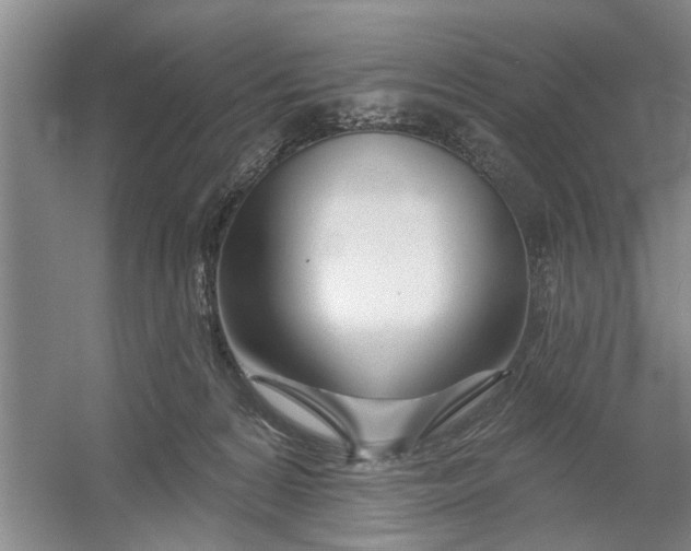 X0000054420224200508192106