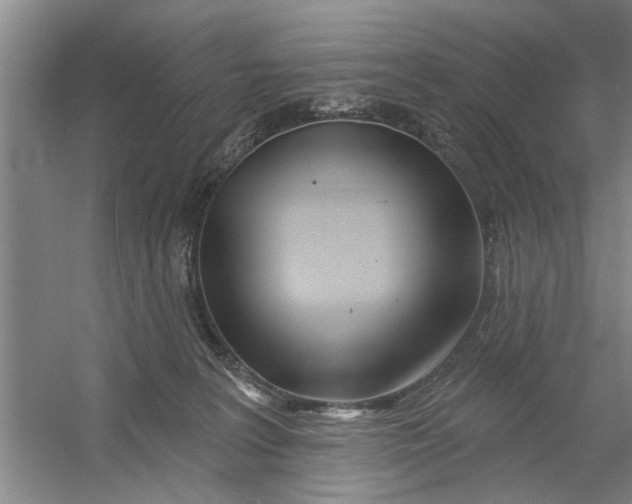 X0000054420227200508192106