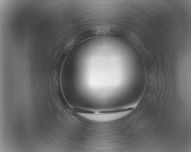 X0000054420228200508192106