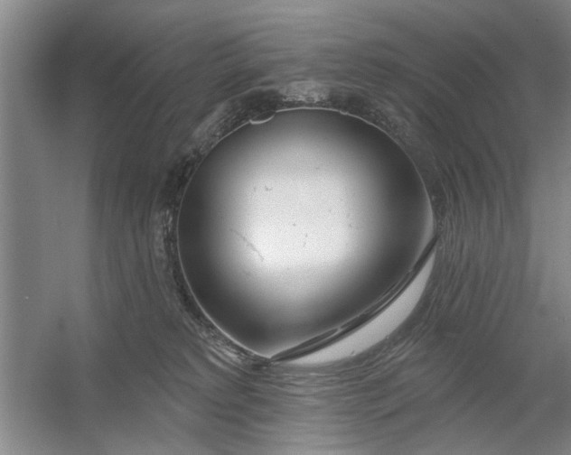 X0000054420229200508192106