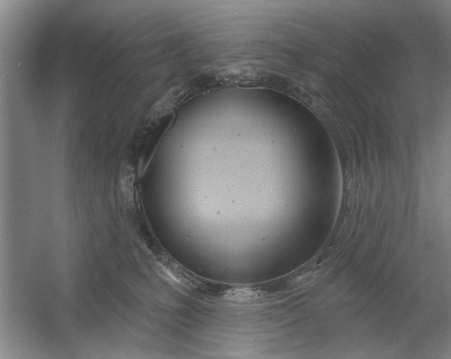 X0000054420231200508192105