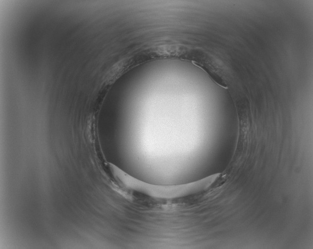X0000054420233200508192105