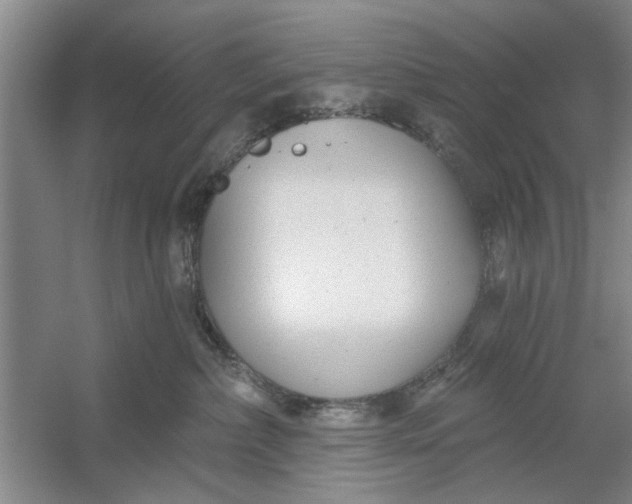 X0000054420236200508192105