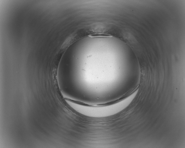 X0000054420237200508192105