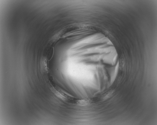 X0000054420238200508192105