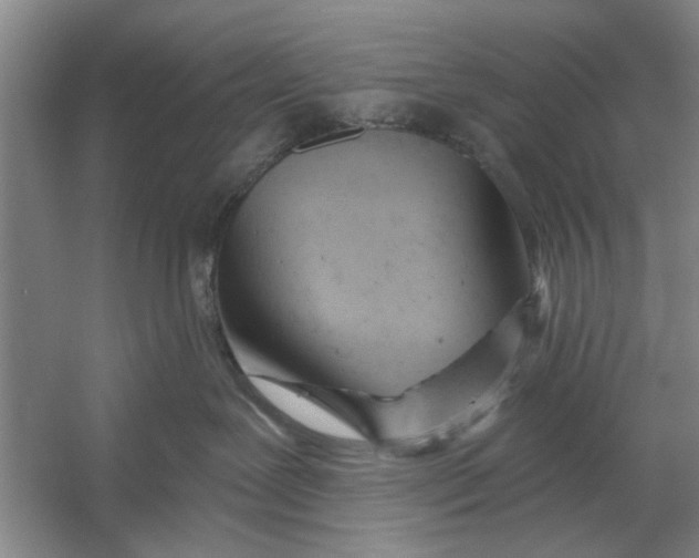 X0000054420239200508192105