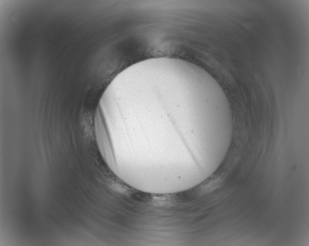 X0000054420240200508192105