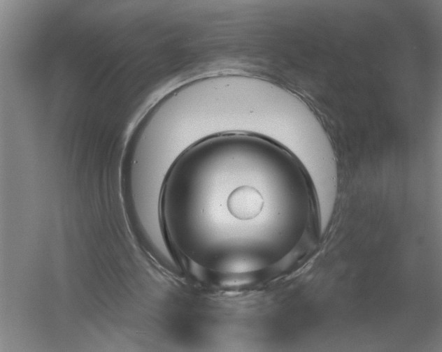 X0000054420244200508192105
