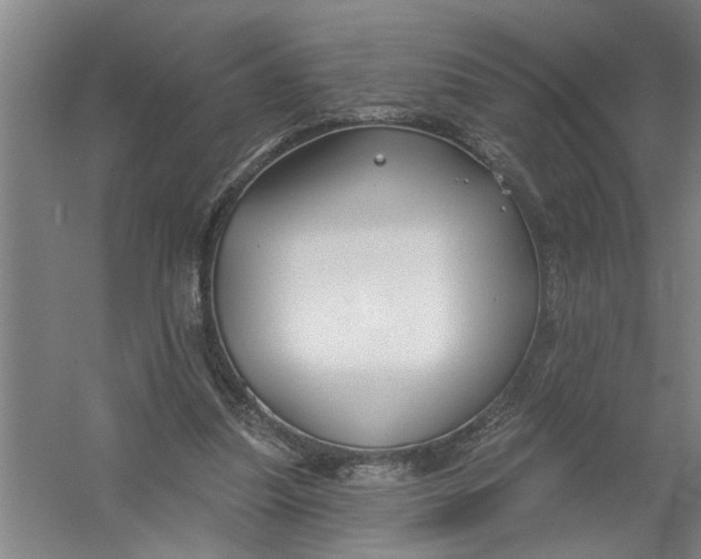 X0000054420251200508192105