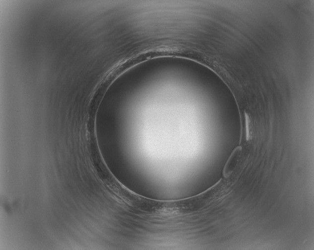 X0000054420252200508192105