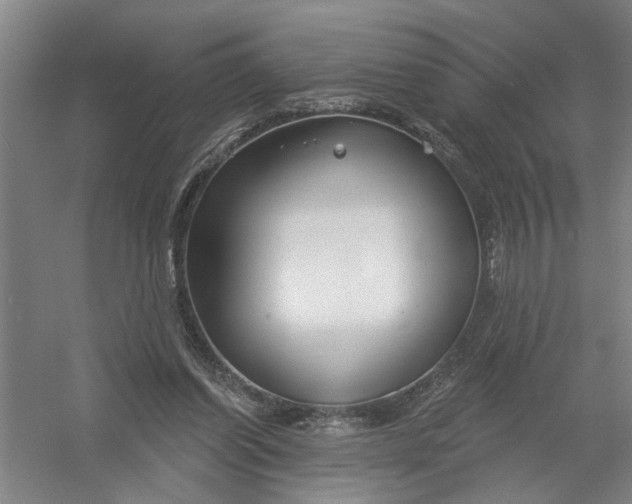 X0000054420254200508192105