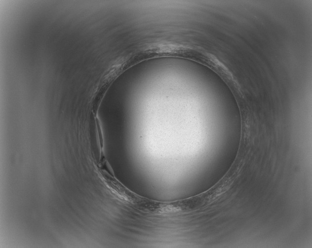 X0000054420257200508192105