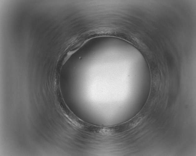 X0000054420261200508192105