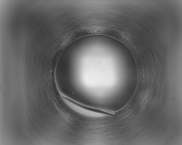 X0000054420263200508192105
