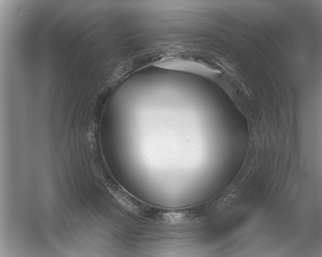 X0000054420265200508192105