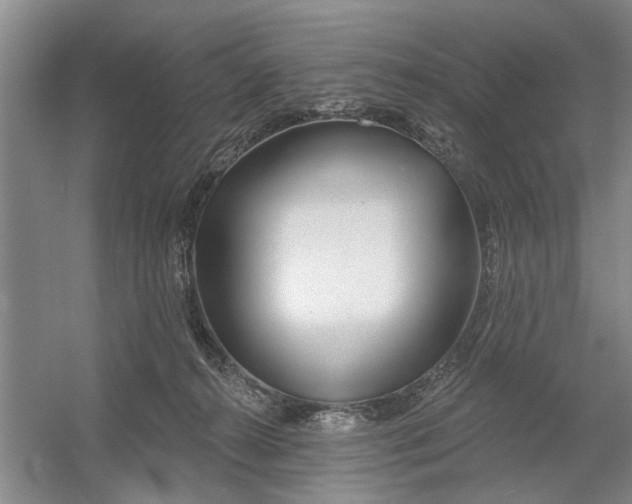 X0000054420272200508192105