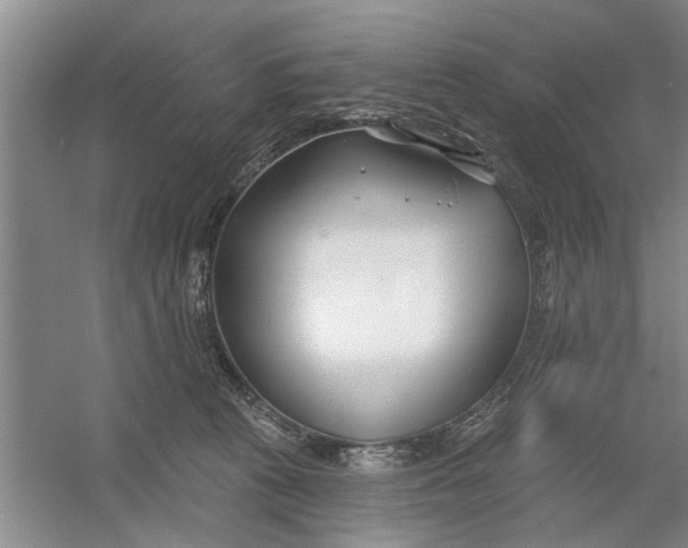 X0000054420273200508192105