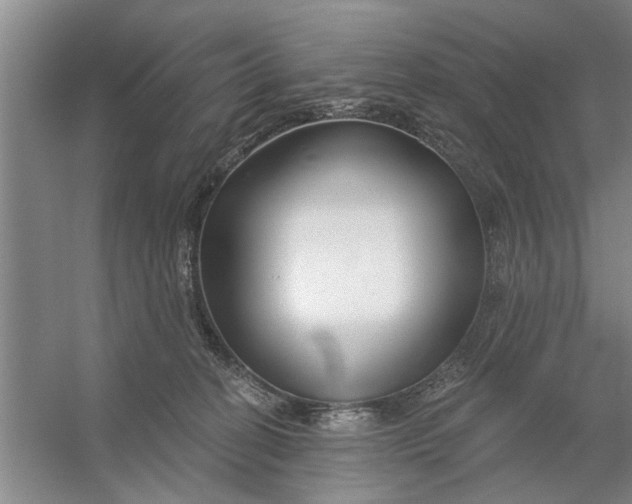 X0000054420274200508192105