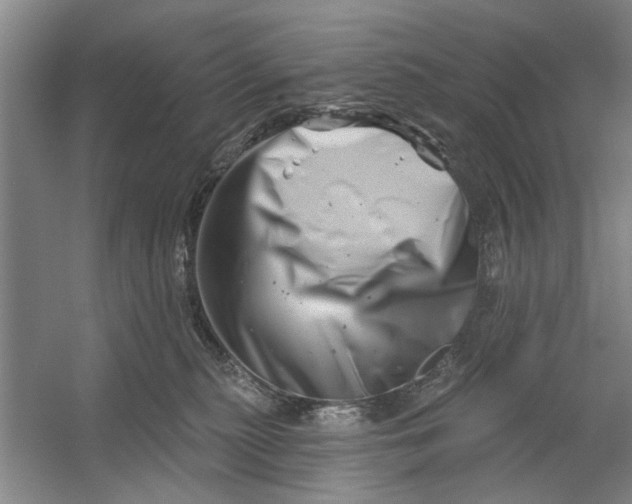 X0000054420279200508192105