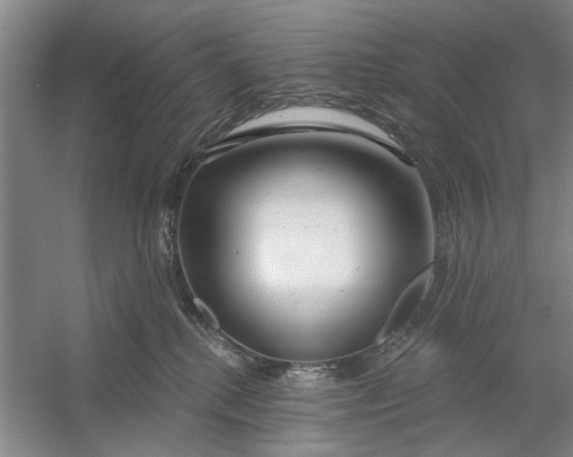 X0000054420280200508192105