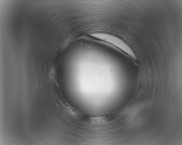 X0000054420281200508192105