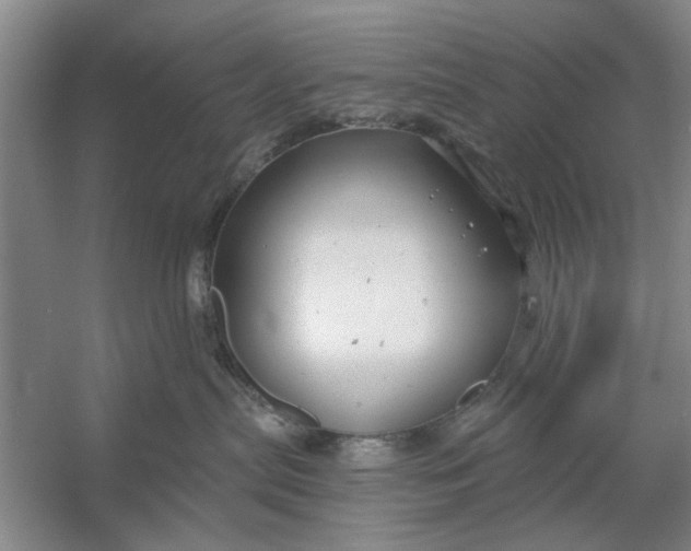 X0000054420287200508192105