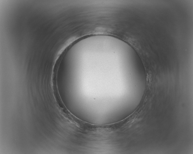X0000054420292200508192104