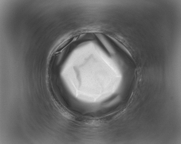 X0000054420293200508192104