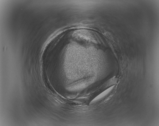 X0000054420295200508192104