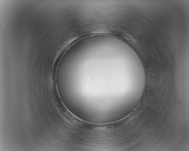 X0000054420298200508192104