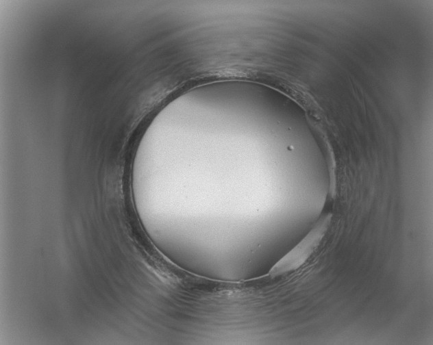X0000054420299200508192104