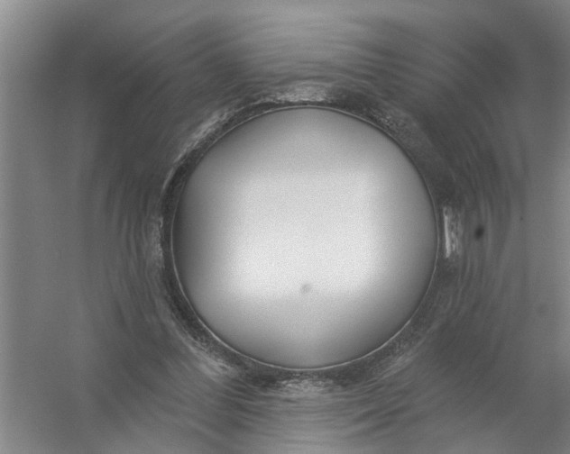 X0000054420300200508192104