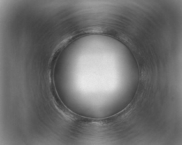 X0000054420302200508192104