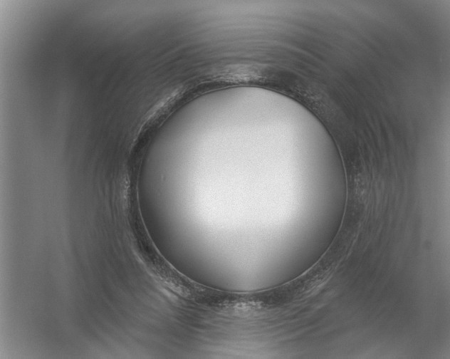 X0000054420304200508192104